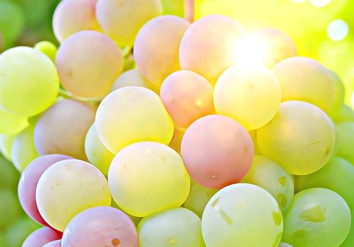 Grapes